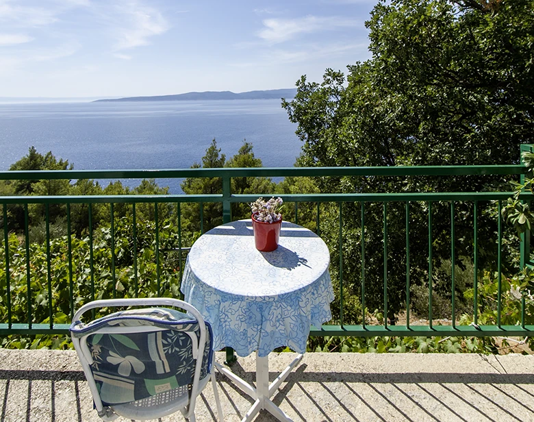Apartments Mila, Brela - balcony with wide panoramic view on Adriatic sea, blue sea, blue sky, green nature