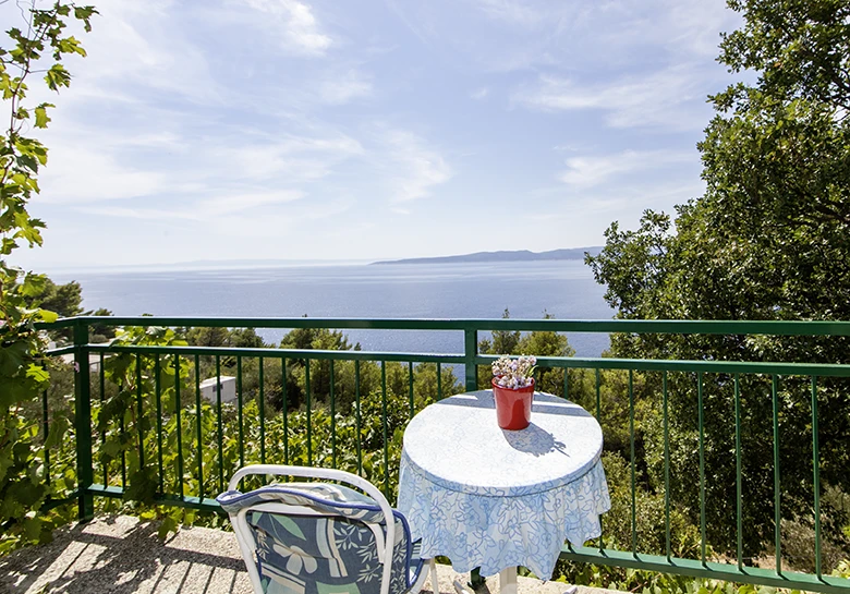 Apartments Mila, Brela - balcony with wide panoramic view on Adriatic sea, blue sea, blue sky, green nature