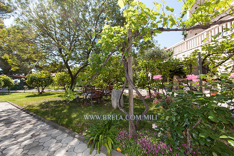 apartments Mili, Brela - garden