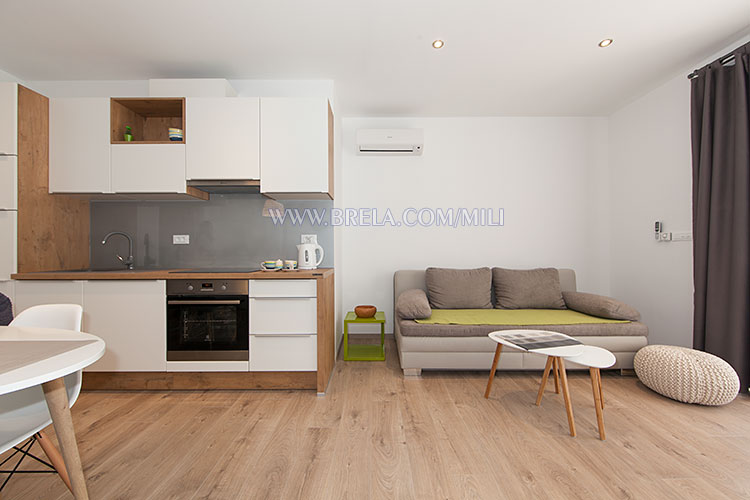 apartments Mili, Brela - kitchen, living room