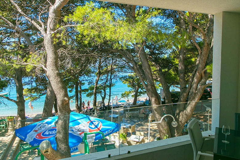 Apartments Morska Villa, Brela - balcony with seaview